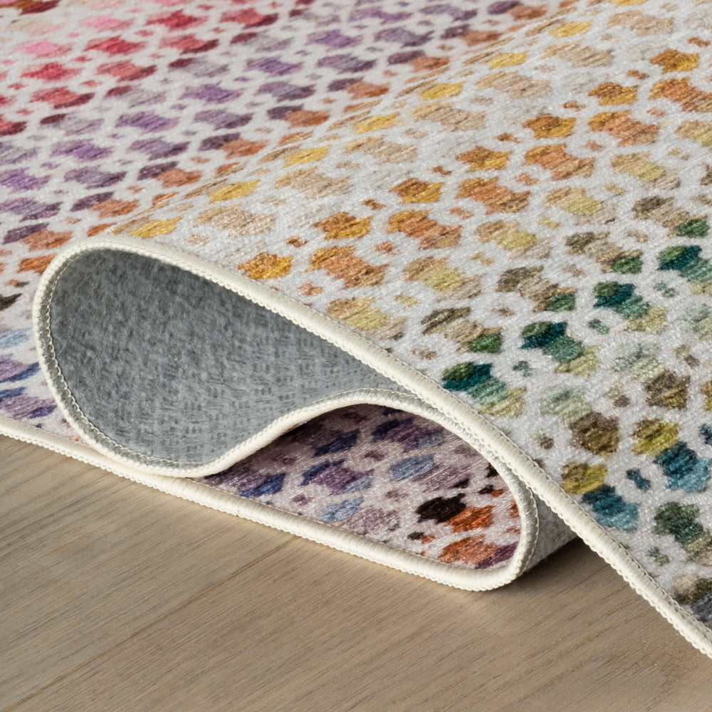 Poppy Machine Washable Rug | Multi