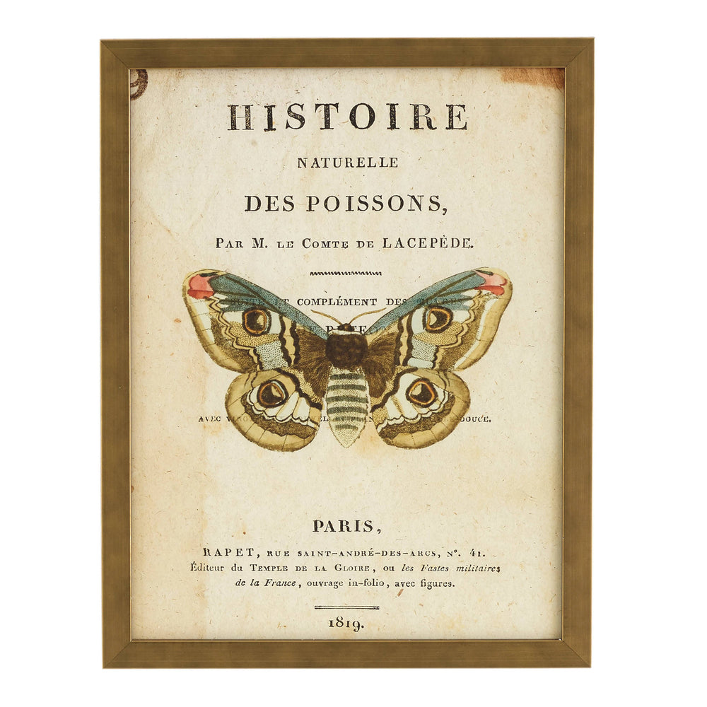 Vintage Moth Wall Art | Ivory