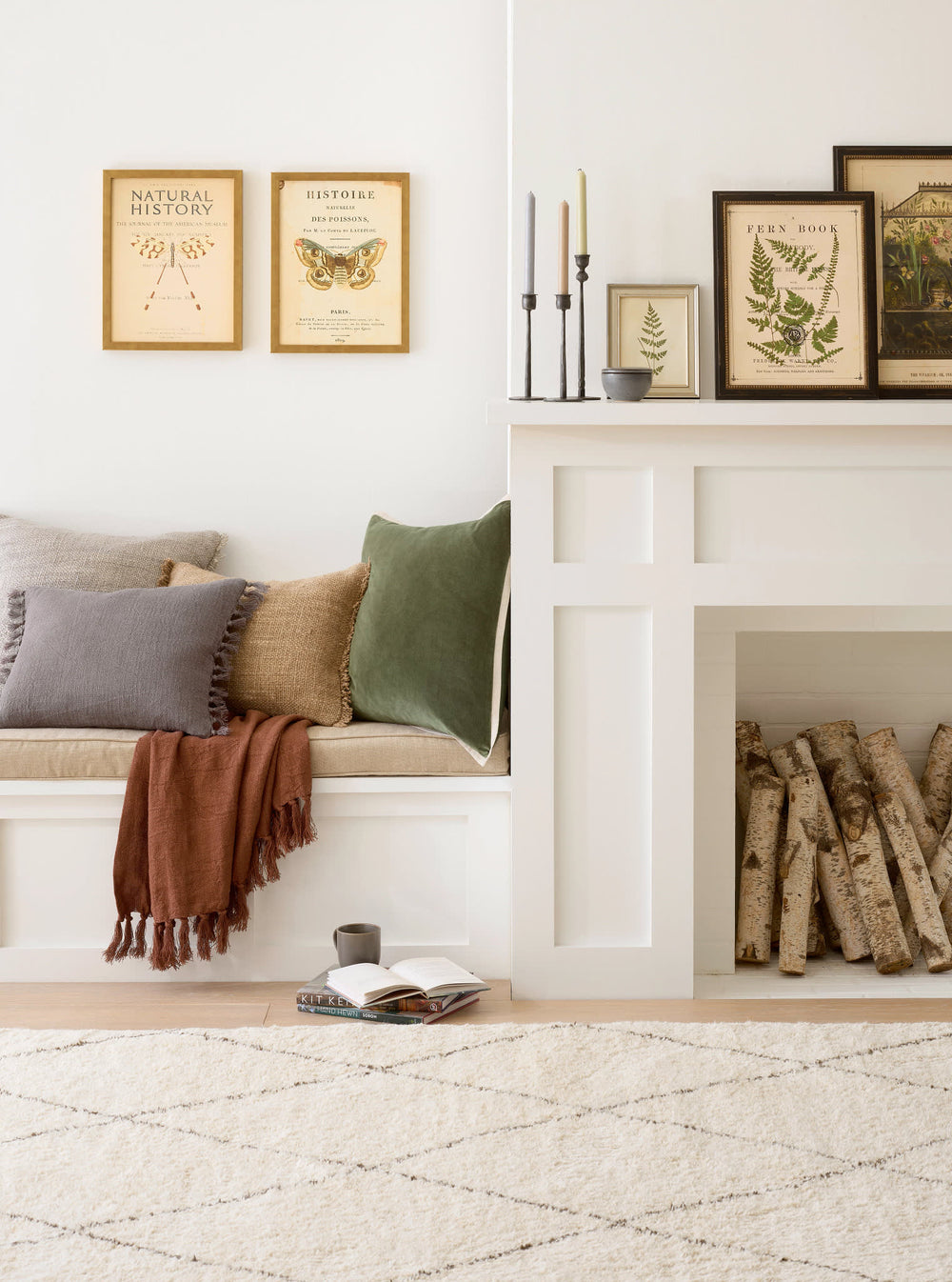 Vintage Moth Wall Art | Ivory