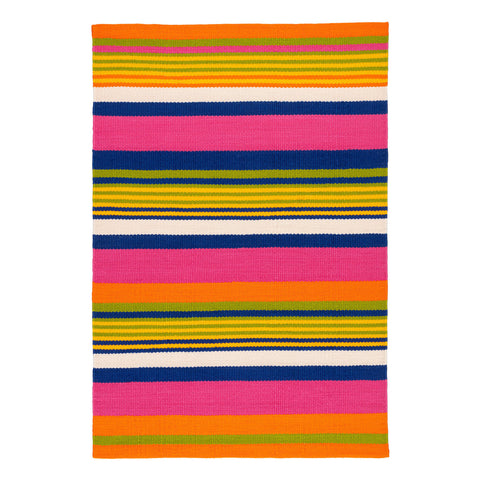 Sunny Stripe Handwoven Indoor/Outdoor Rug | Multi