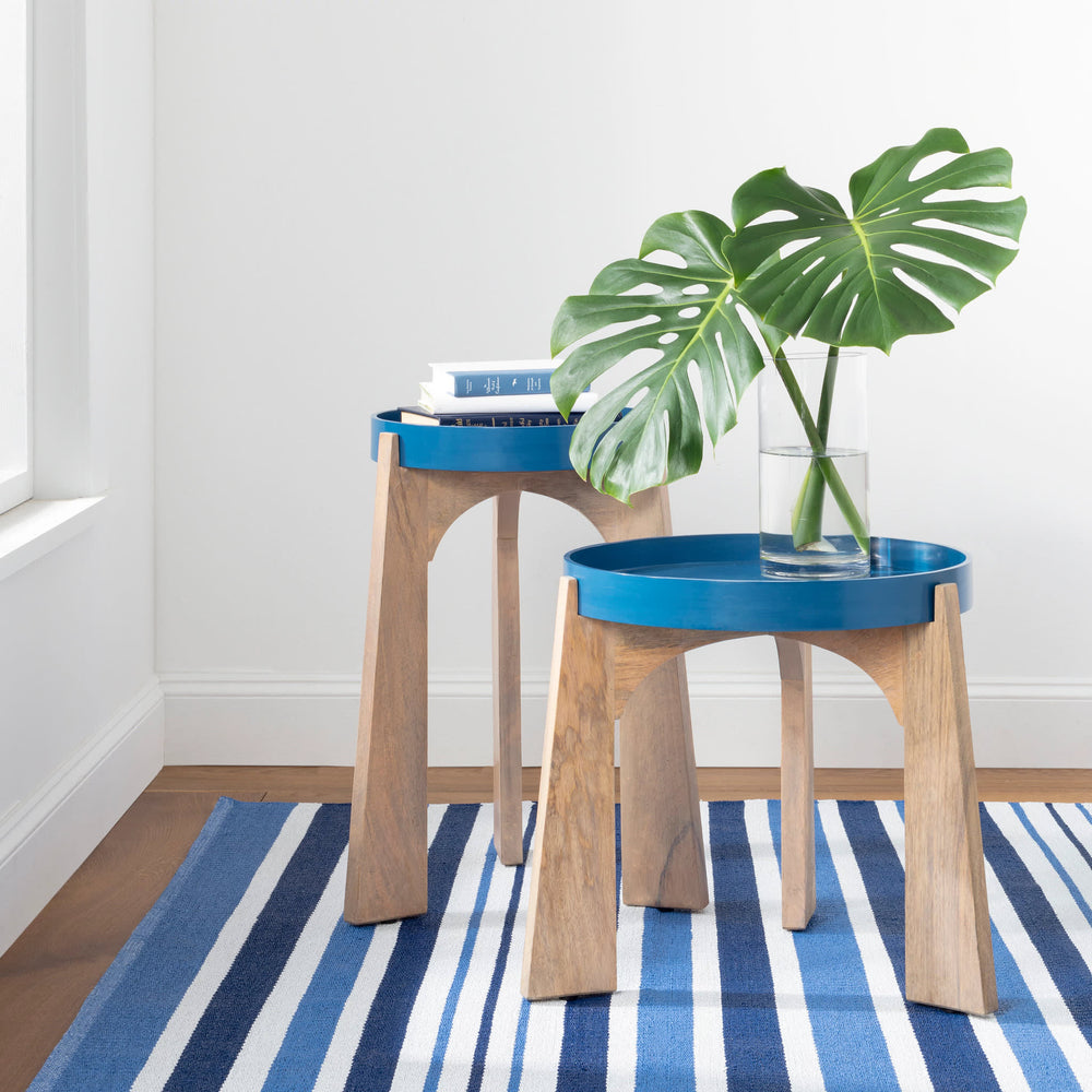 Charlie Stripe Handwoven Indoor/Outdoor Rug | Blue