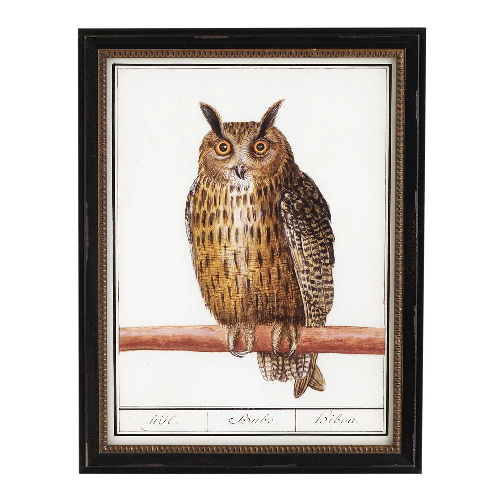 Vintage Owl Wall Art | Ivory
