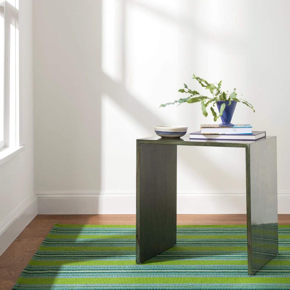 Road Runner Handwoven Indoor/Outdoor Rug | Green