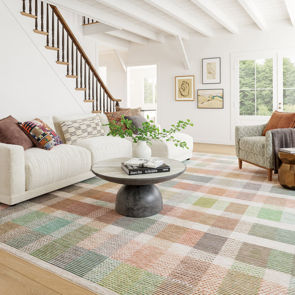 Picnic Machine Washable Rug | Multi