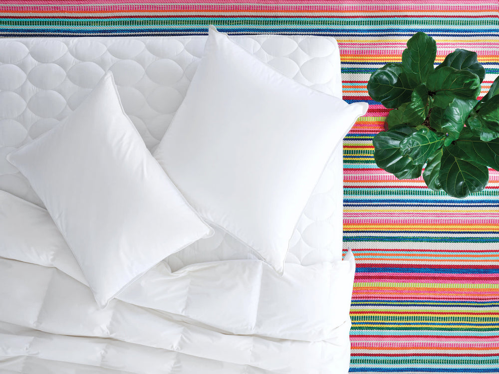 Bedding Basics Bundle | None